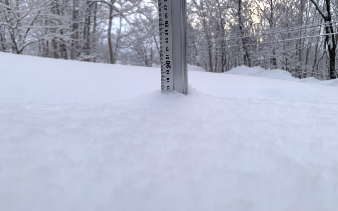 Niseko Snow Report 25 February 2023