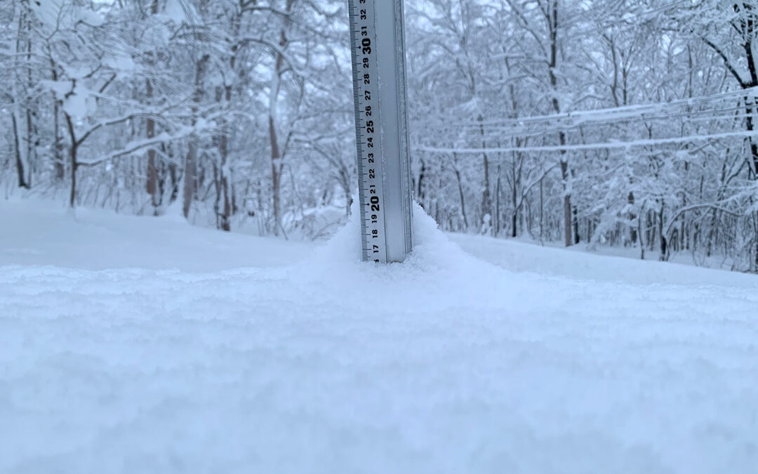Niseko Snow Report, 24 December 2023