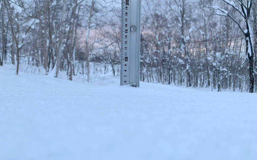 Niseko Snow Report, 30 December 2023