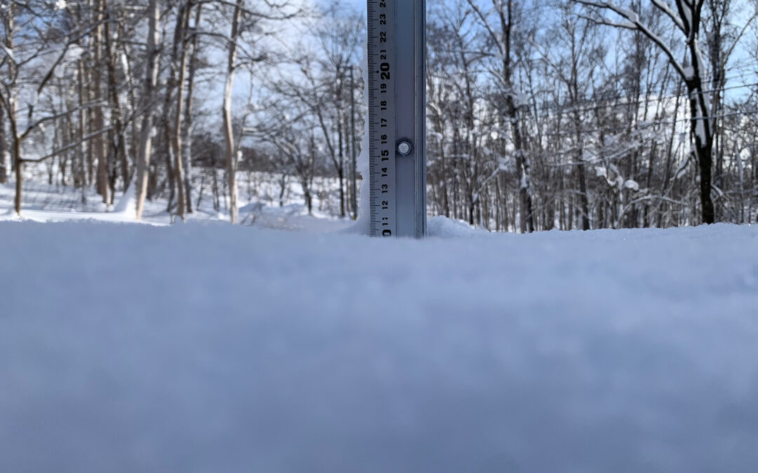Niseko Snow Report, 1 January 2024