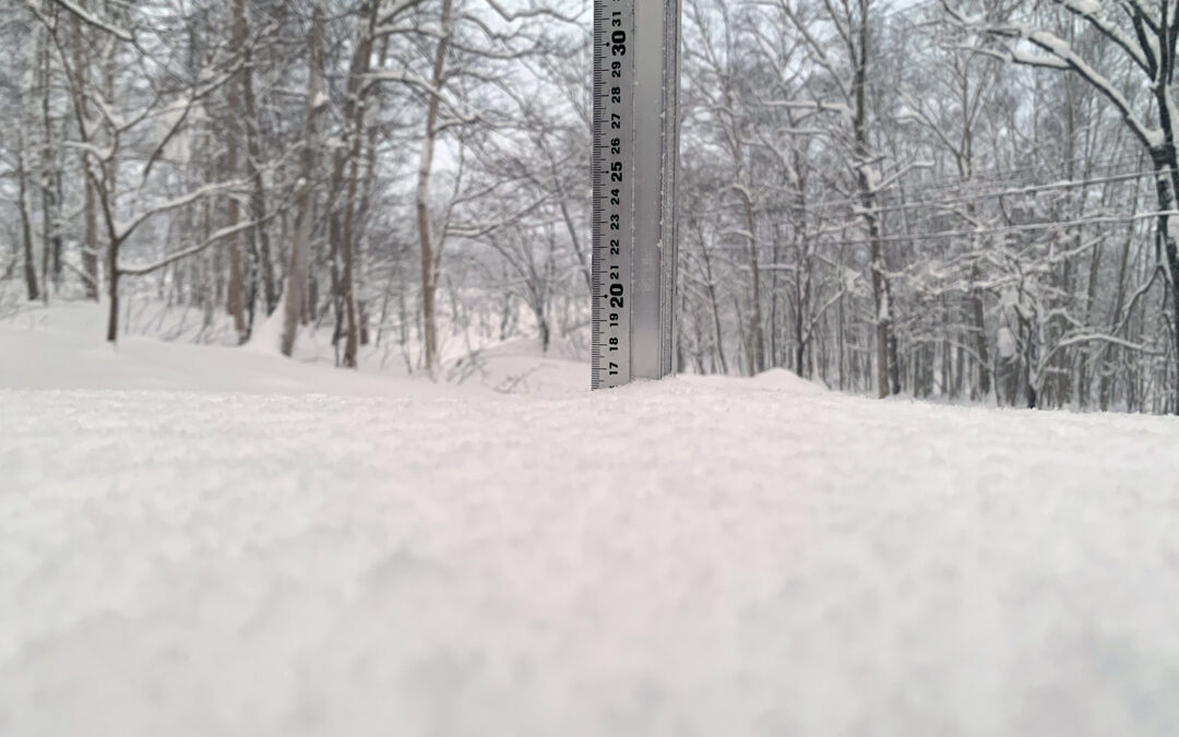 Niseko Snow Report, 7 January 2024