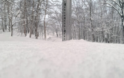 Niseko Snow Report, 7 January 2024