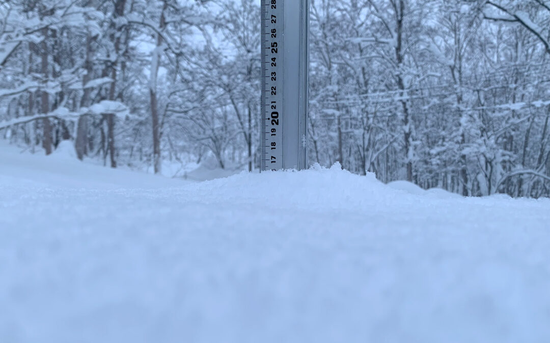 Niseko Snow Report, 10 January 2024