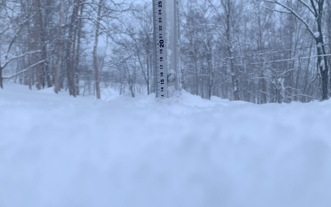 Niseko Snow Report, 2 February 2024