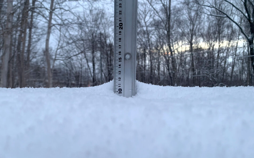 Niseko Snow Report, 19 November 2024