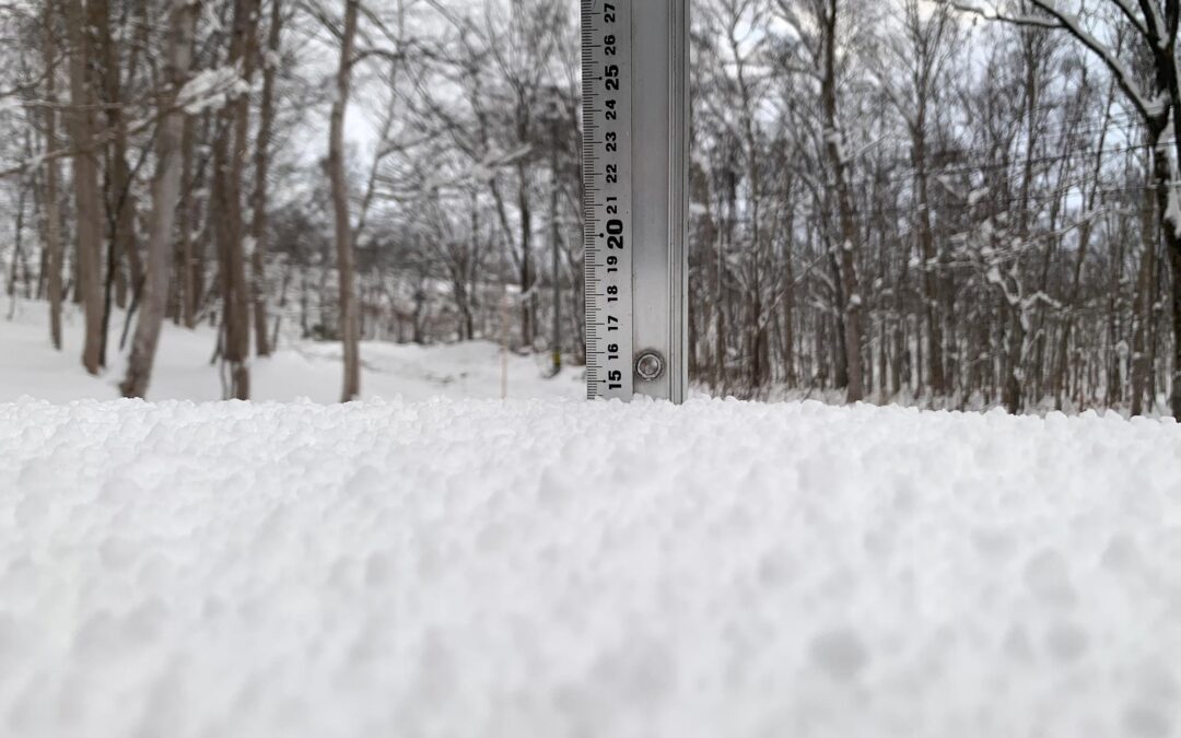 Niseko Snow Report, 7 december