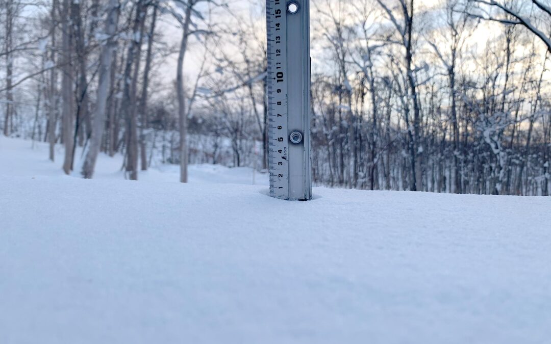 Niseko Snow Report, 10 December 2024