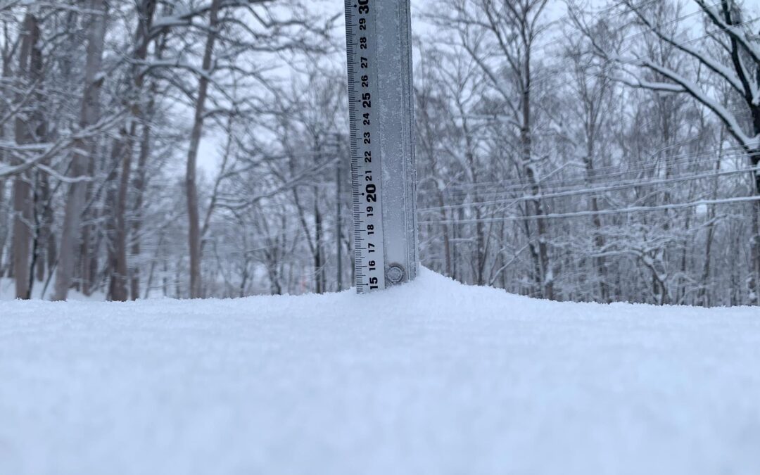 NIseko Snow Report, 11 December 2024