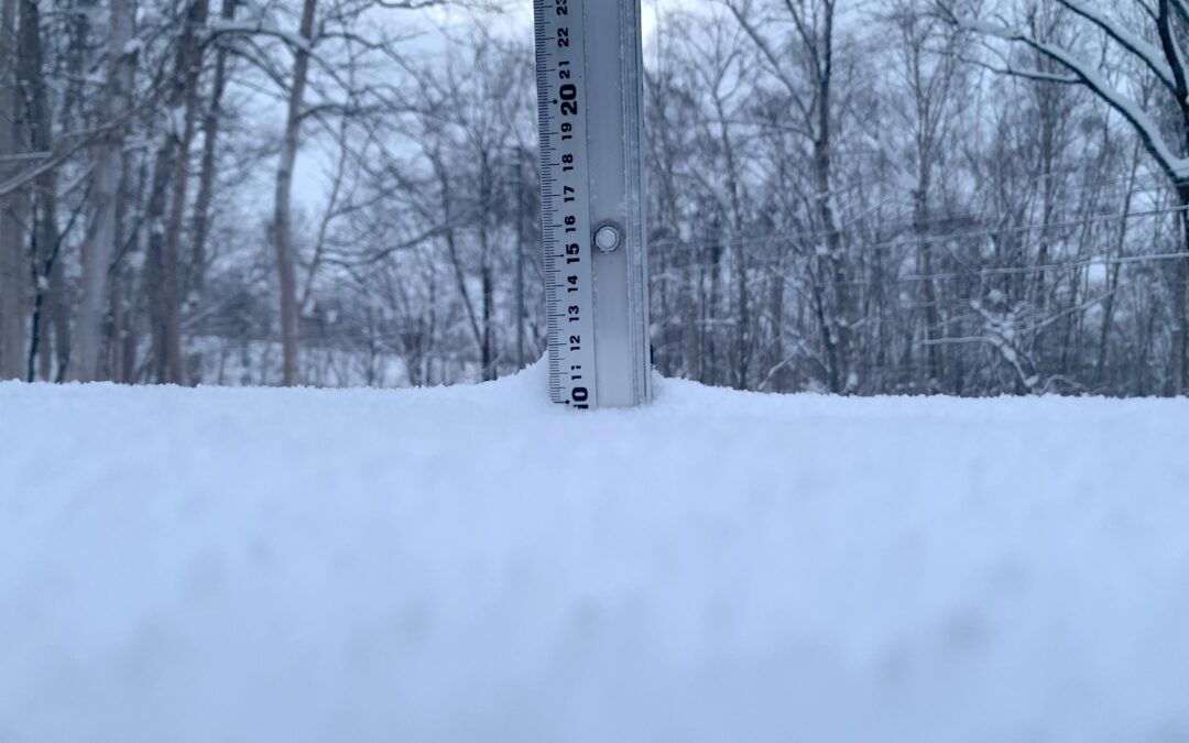 Niseko Snow Report, 12 December 2024