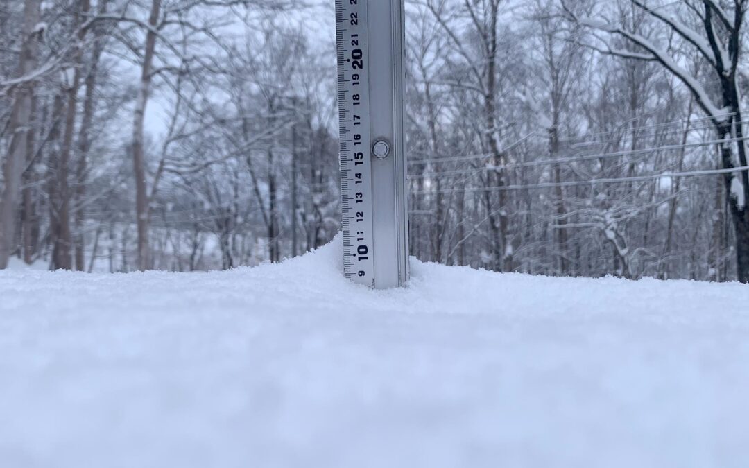 Niseko Snow Report, 13 December 2024