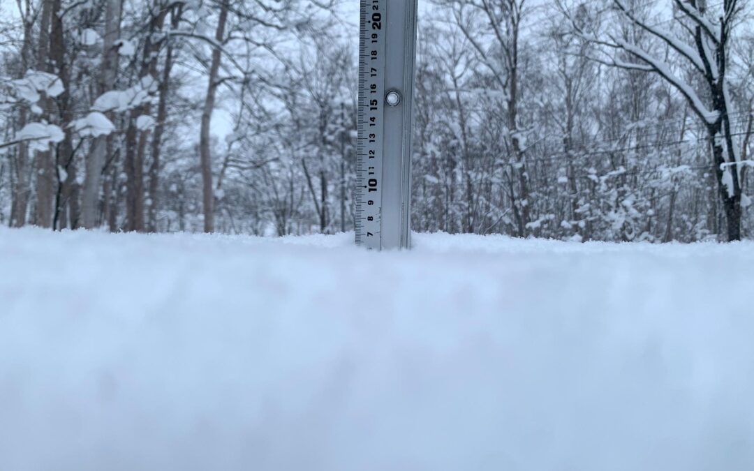 Niseko Snow Report, 15 December 2024