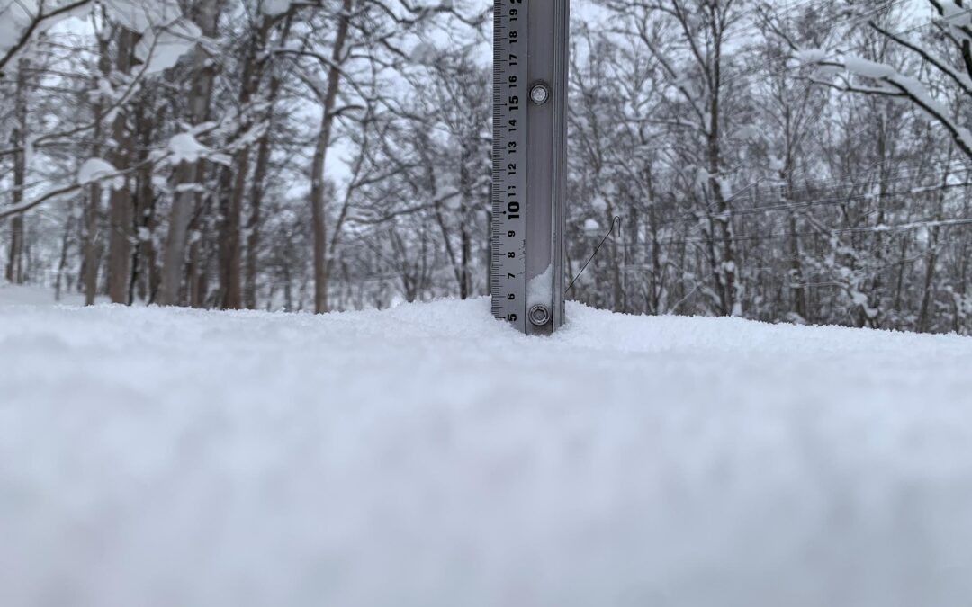 Niseko Snow Report, 19 December 2024