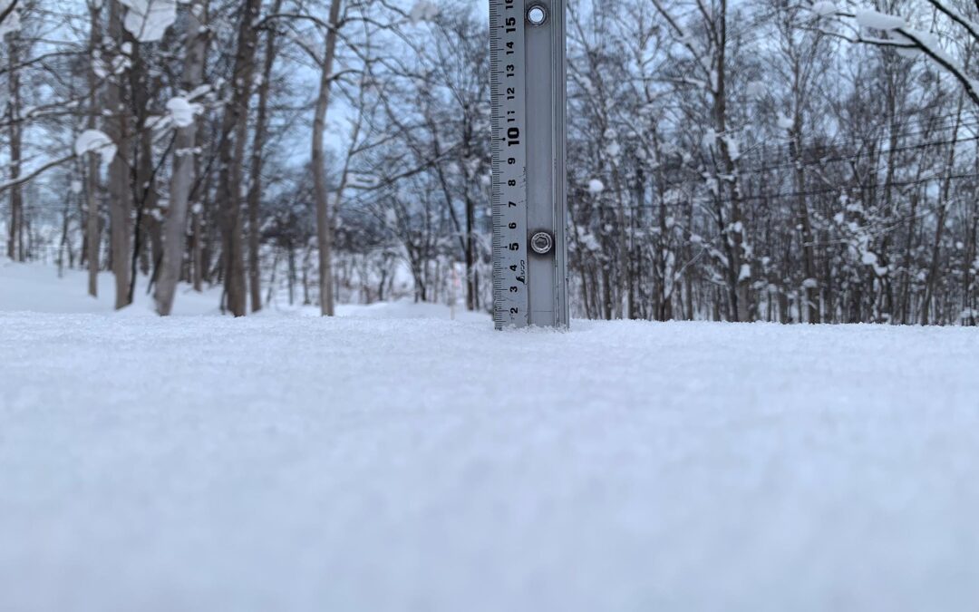 Niseko Snow Report, 20 December 2024