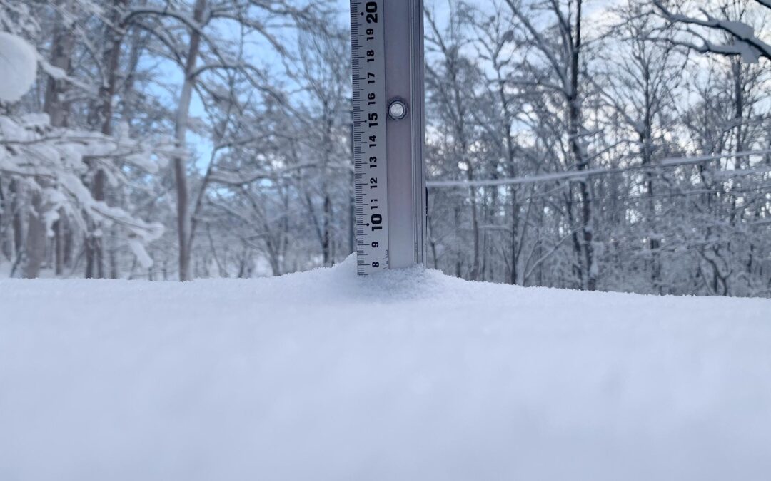 Niseko Snow Report, 28 December 2024