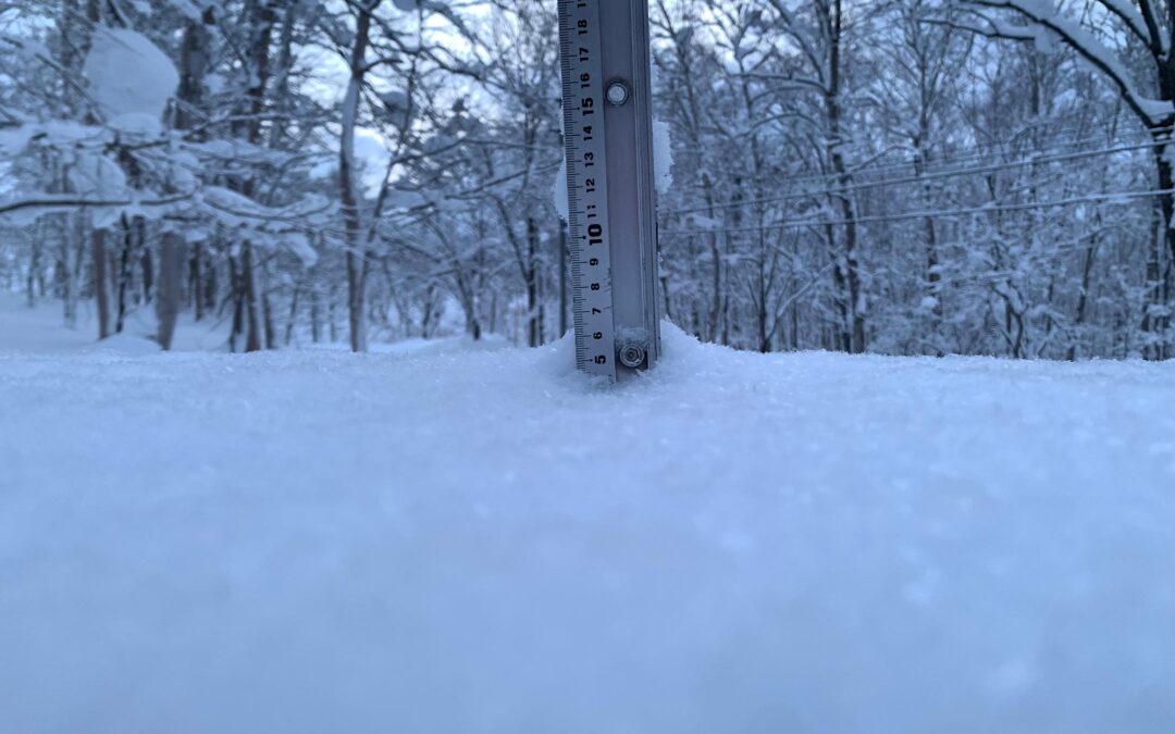 Niseko Snow Report, 31 December 2024