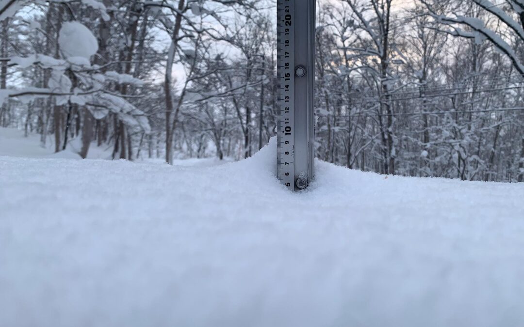 Niseko Snow Report, 1 January 2025
