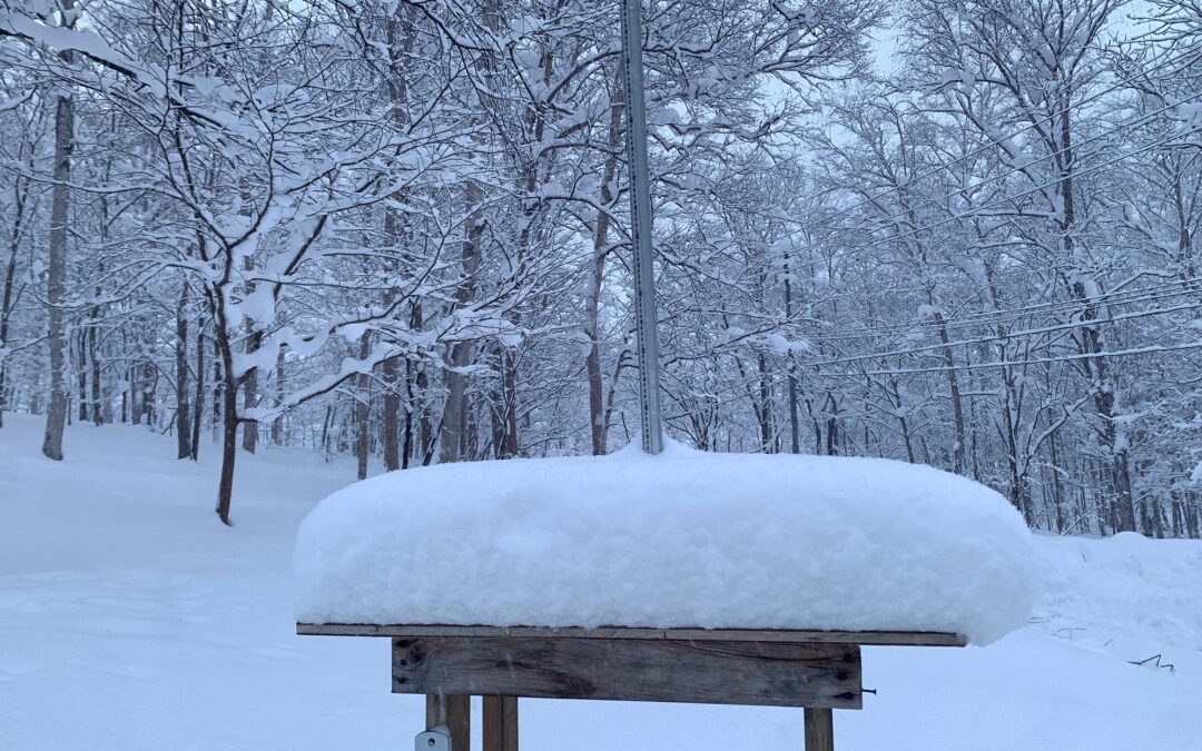 Niseko Snow Report, 17 December 2024