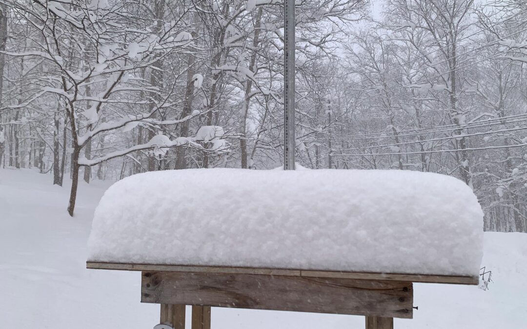 Niseko Snow Report, 16 December 2024