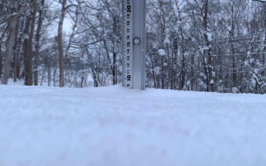 Niseko Snow Report, 25 December 2024