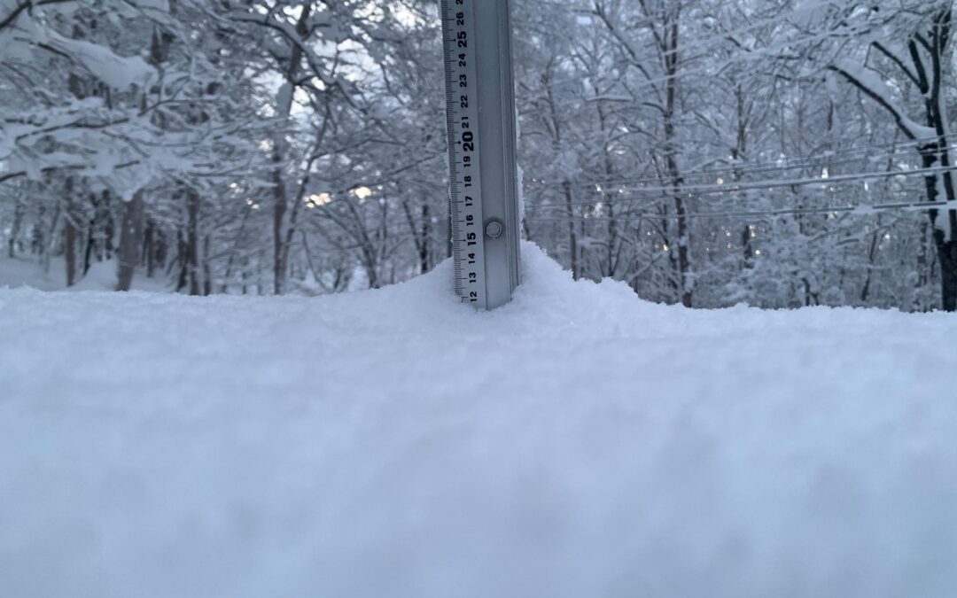 Niseko Snow Report, 4 January 2025