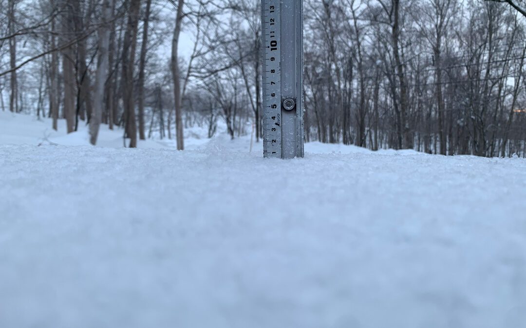 Niseko Snow Report, 23 January 2025