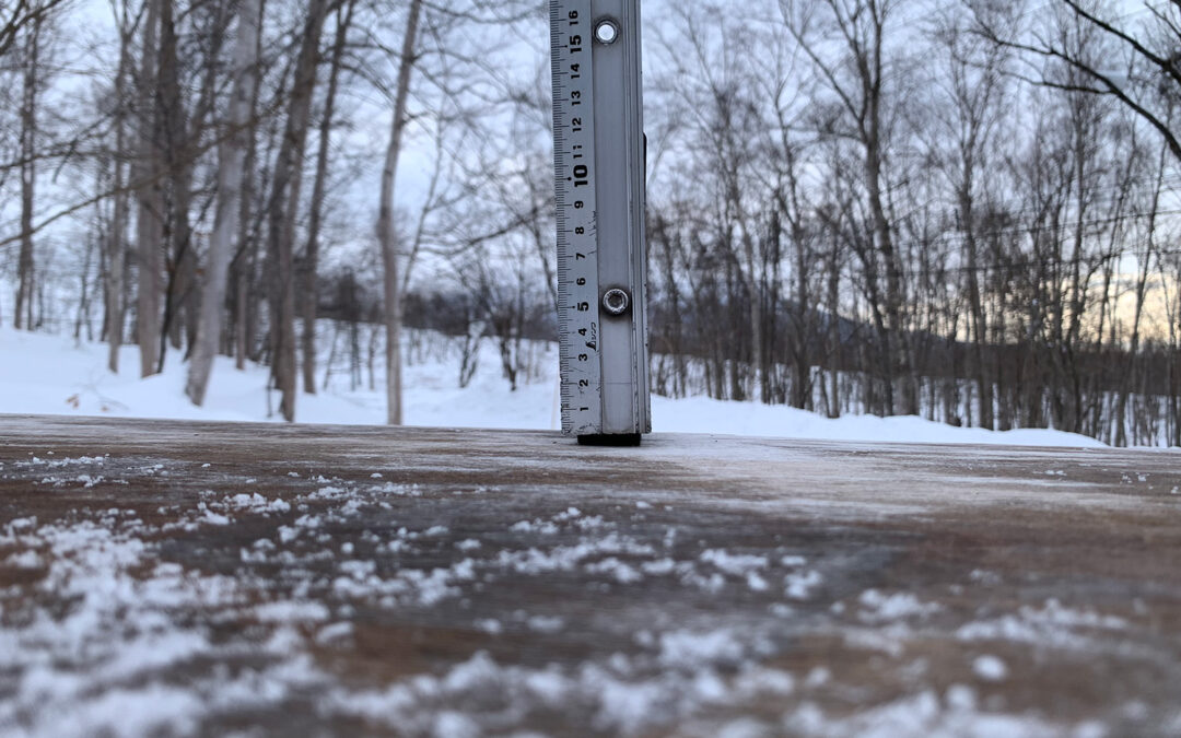 Niseko Snow Report, 24 January 2025