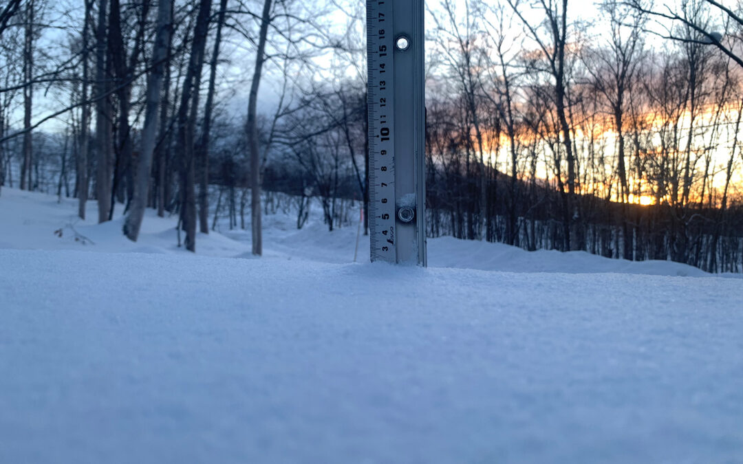 Niseko Snow Report, 29 January 2025
