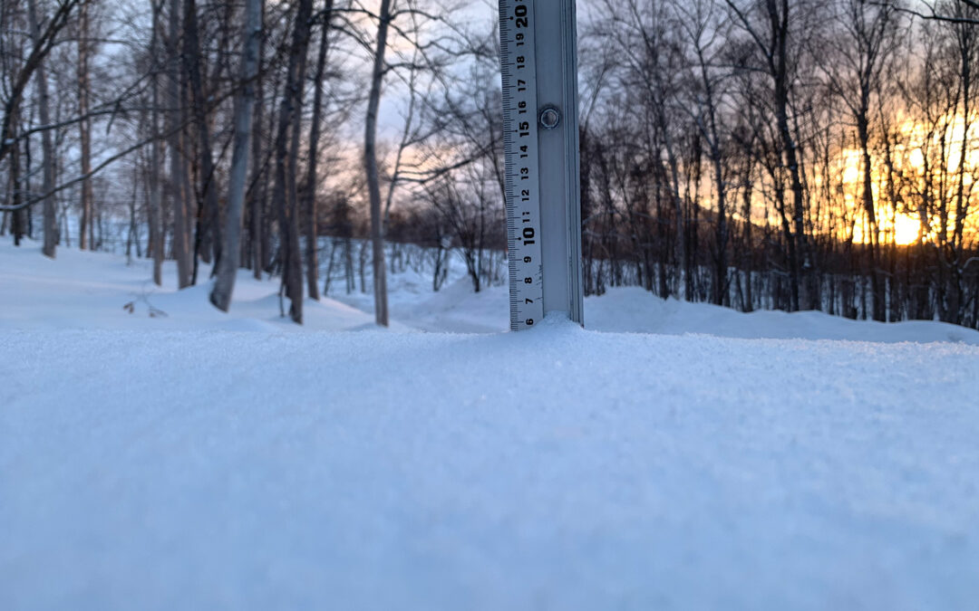 Niseko Snow Report, 30 January 2025