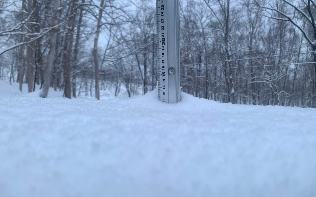Niseko Snow Report, 31 January 2025