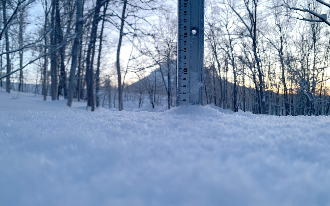 Niseko Snow Report, 8 February 2025