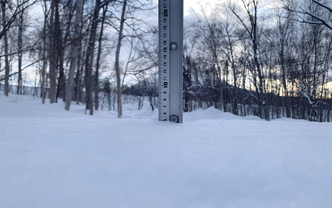 Niseko Snow Report, 9 February 2025