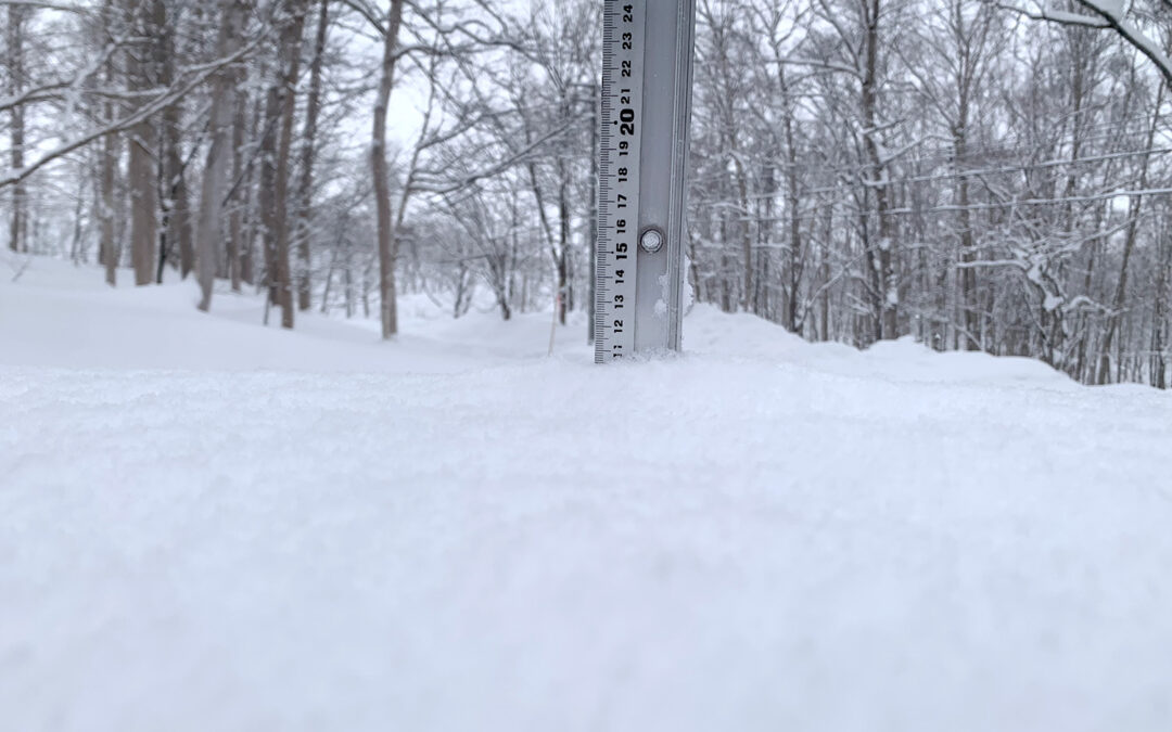 Niseko Snow Report, 12 February 2025