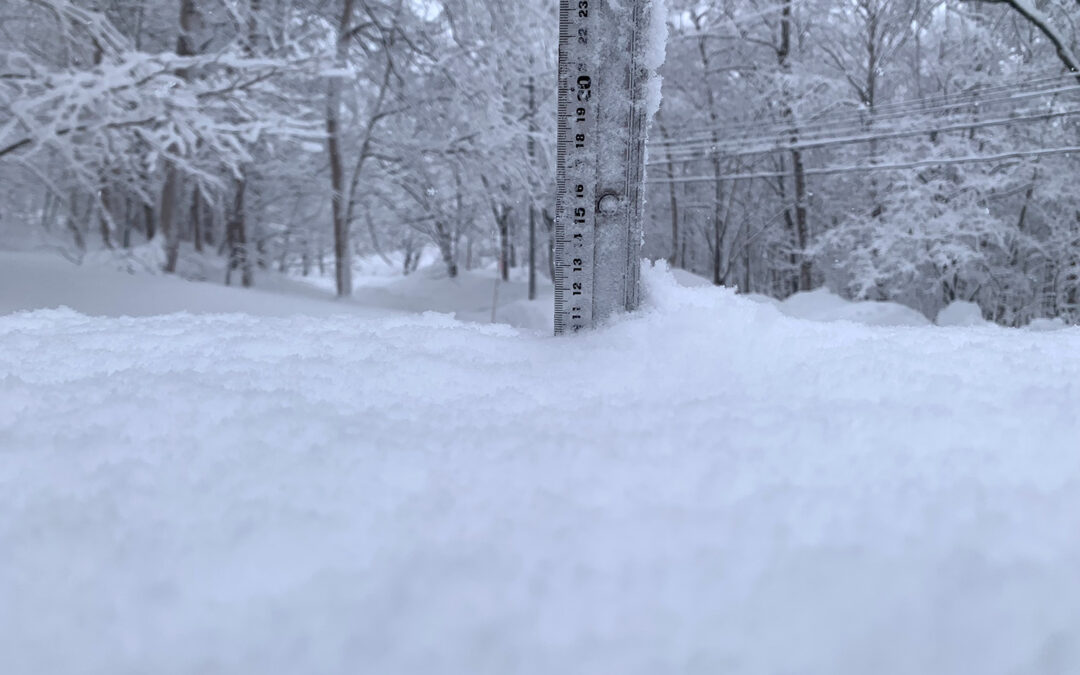 Niseko Snow Report, 13 February 2025