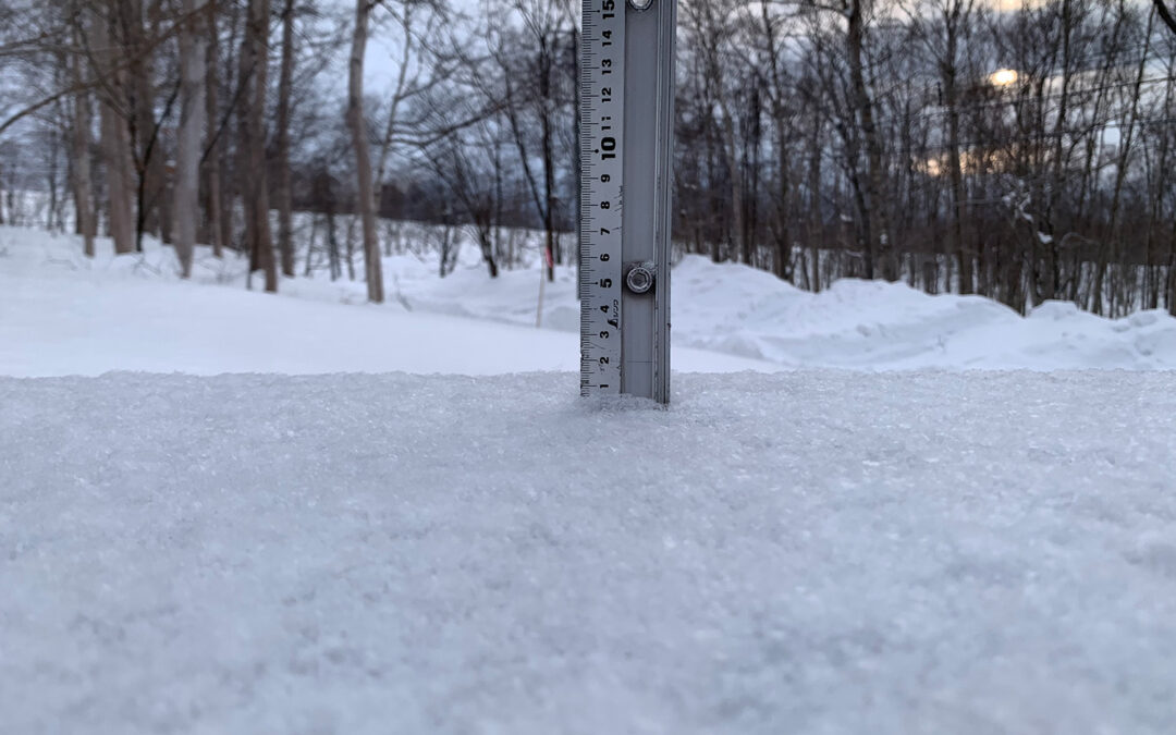 Niseko Snow Report, 16 FeBruary 2025