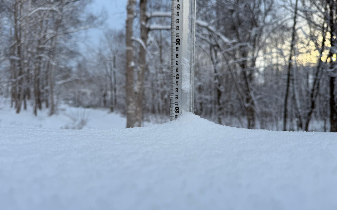 Niskeo Snow Report, 4 December 2025