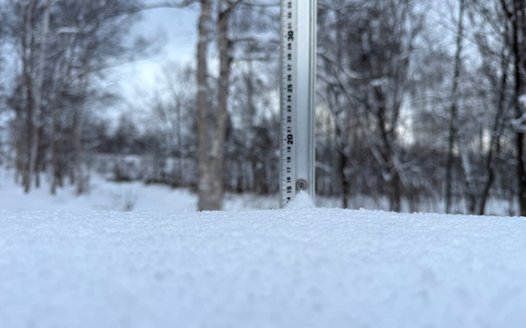 Niseko Snow Report, 5 December 2025