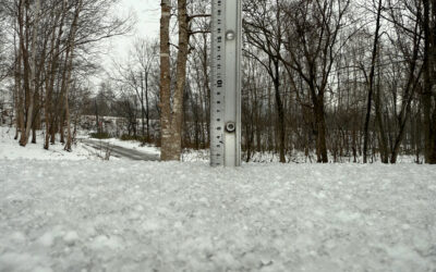 Niseko Snow Report, 8 December 2025