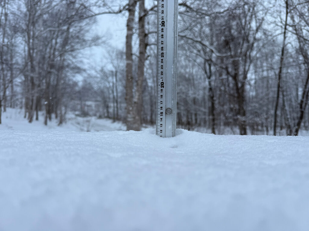 Snowfall measurement in Niseko showing 12 cm on December 9, 2025.