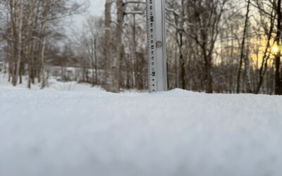 Niseko Snow Report, 10 December 2025