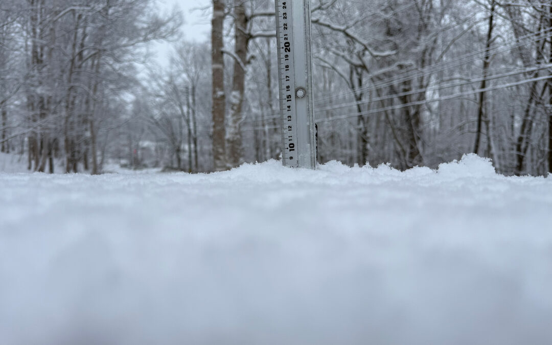 Niseko Snow Report, 11 December 2025