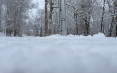 Niseko Snow Report, 11 December 2025