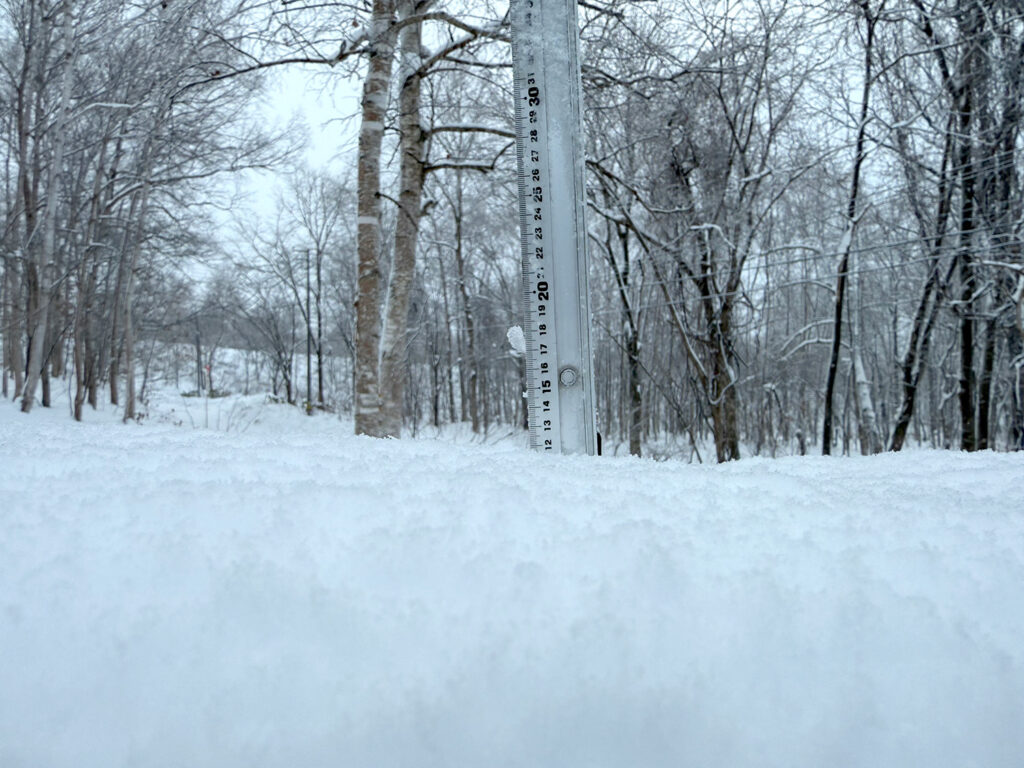 Snowfall measurement in Niseko showing 12 cm on December 15, 2025.