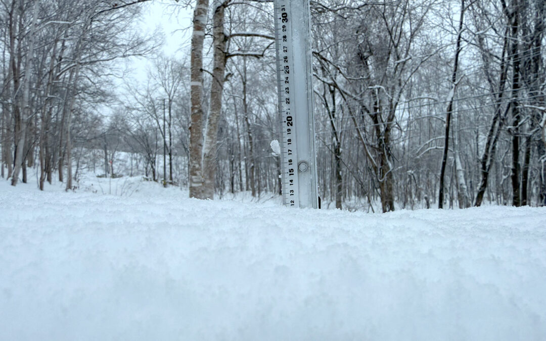 Niseko Snow Report, 15 December 2025