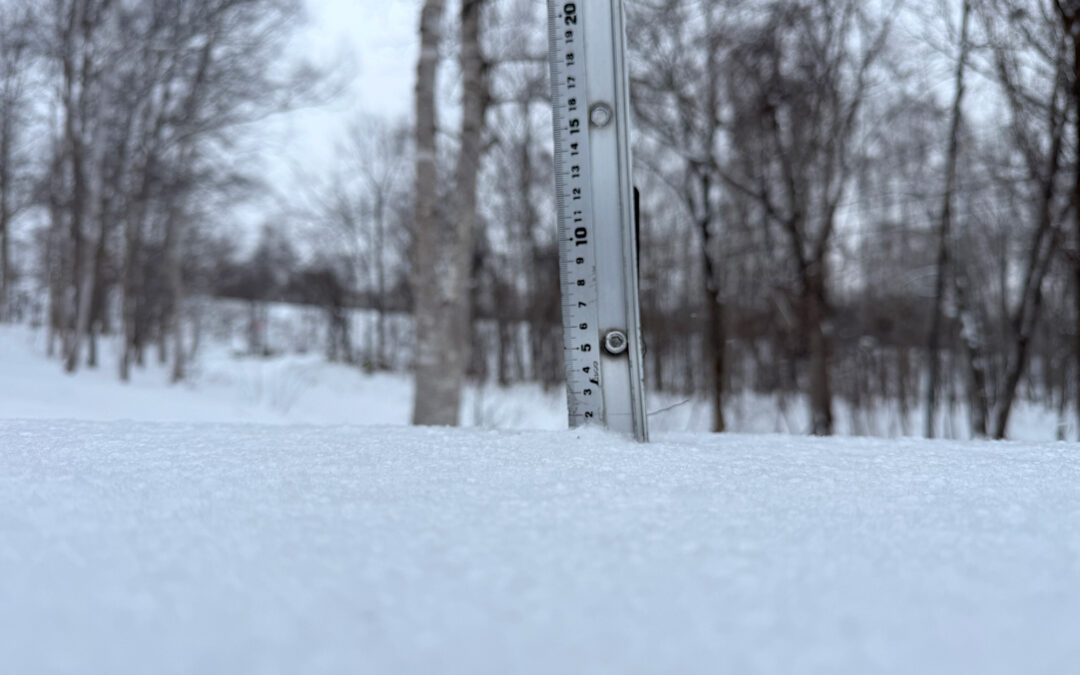 Niseko Snow Report, 16 December 2025