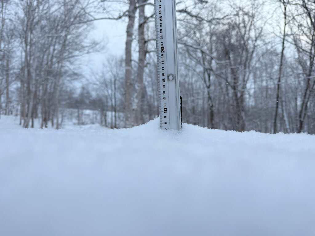 Snowfall measurement in Niseko showing 8 cm on December 22, 2025."