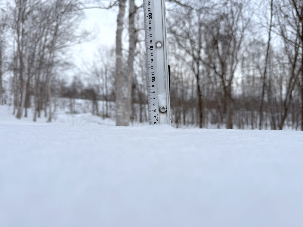 Snowfall measurement in Niseko showing 19 cm on December 4, 2025