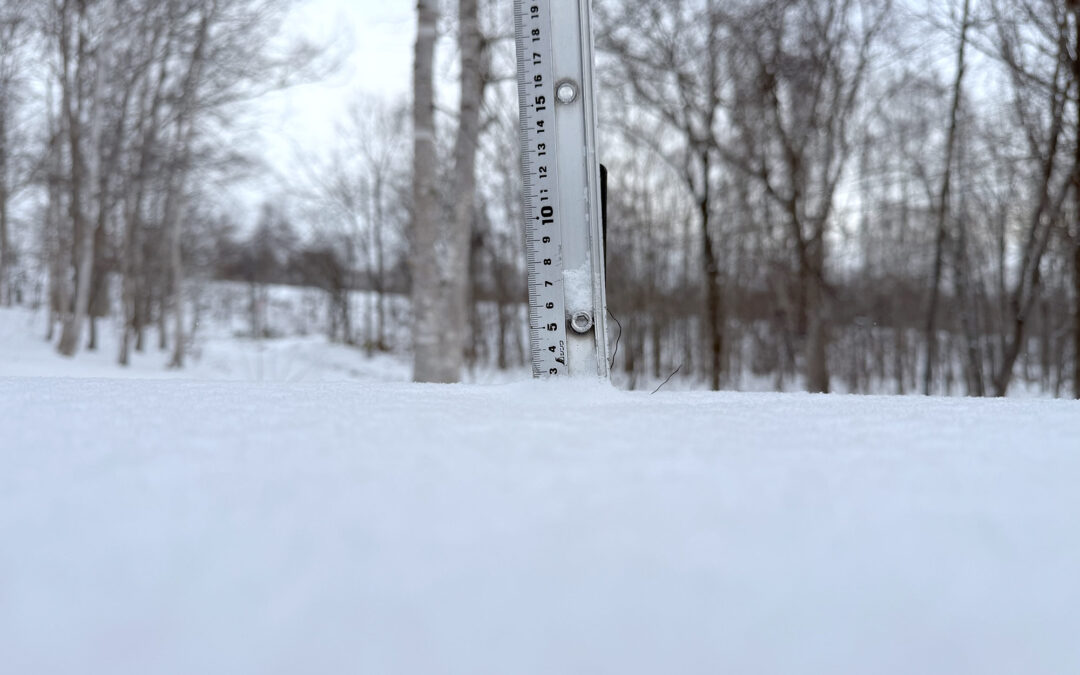 Niseko Snow Report, 26 December 2025