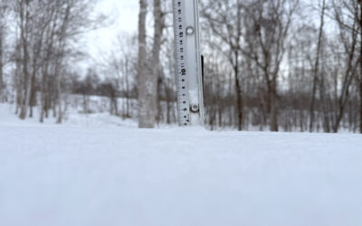 Niseko Snow Report, 26 December 2025