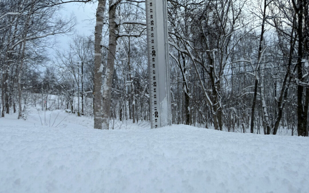 Niseko Snow Report, 28 December 2025