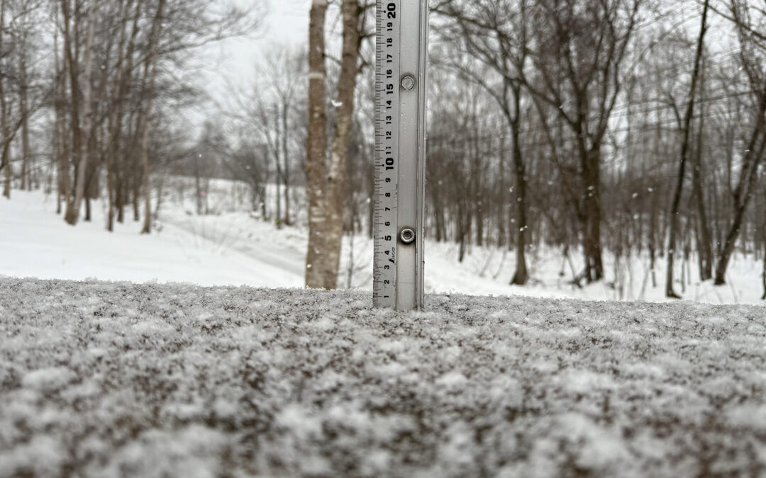 Niseko Snow Report, 30 December 2025